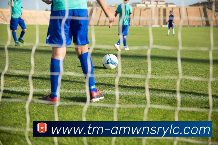 威尼斯人官网发展历程